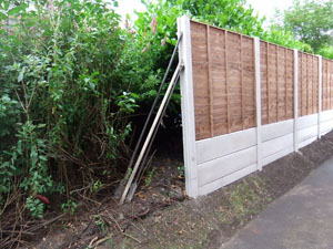 Waney lap fencing panel, with plain concrete bargeboards, during construction and nearing completion.